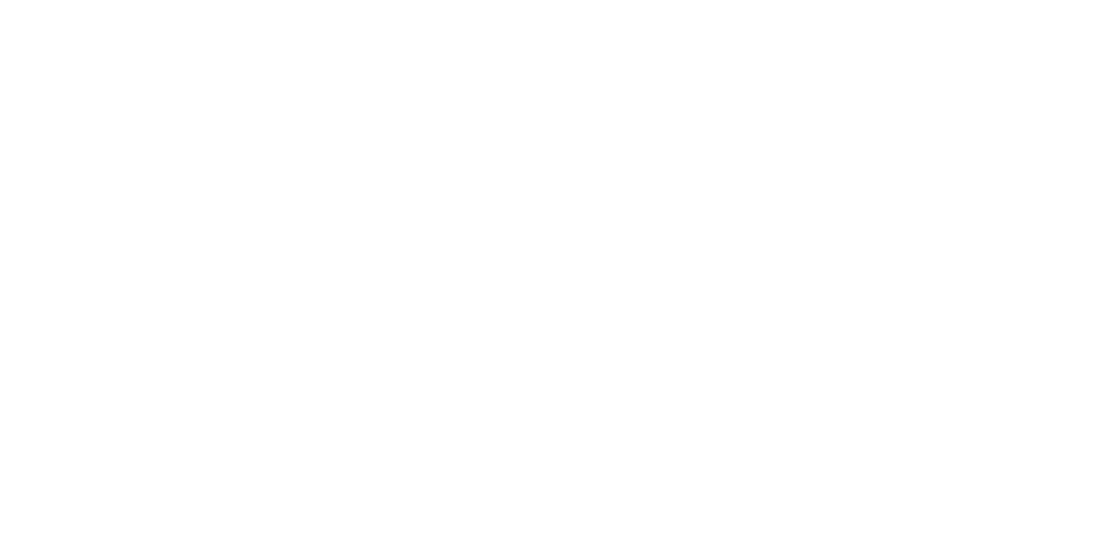Allied Sanitation Services LLC